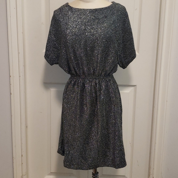 Shimmery Slinky Dress - Picture 1 of 7